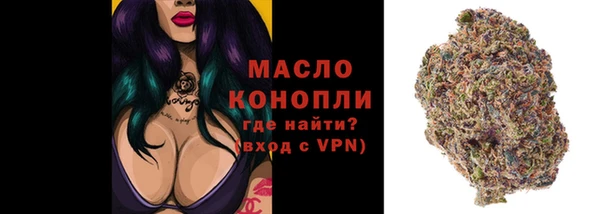 apvp Богородск
