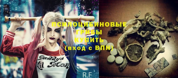jwh Богородицк