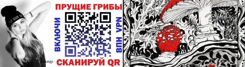 Галлюциногенные грибы Psilocybe  гидра tor  Грозный 