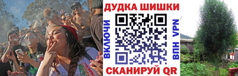 Шишки марихуана тримм  Грозный 